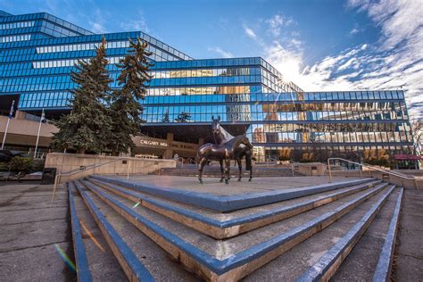 tndl office calgary|The City of Calgary .